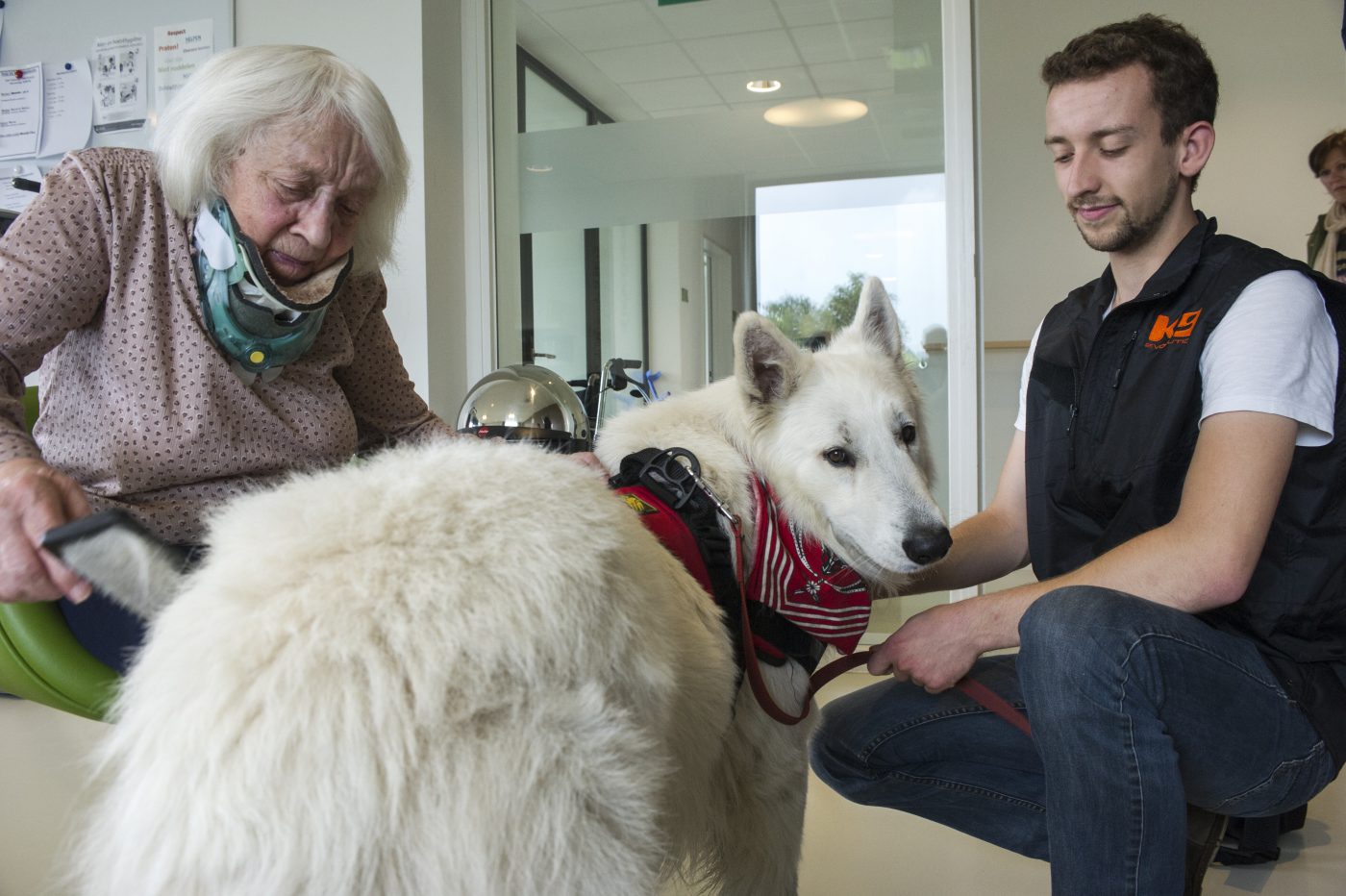 Algemeen assistentiehond Mattis (2)